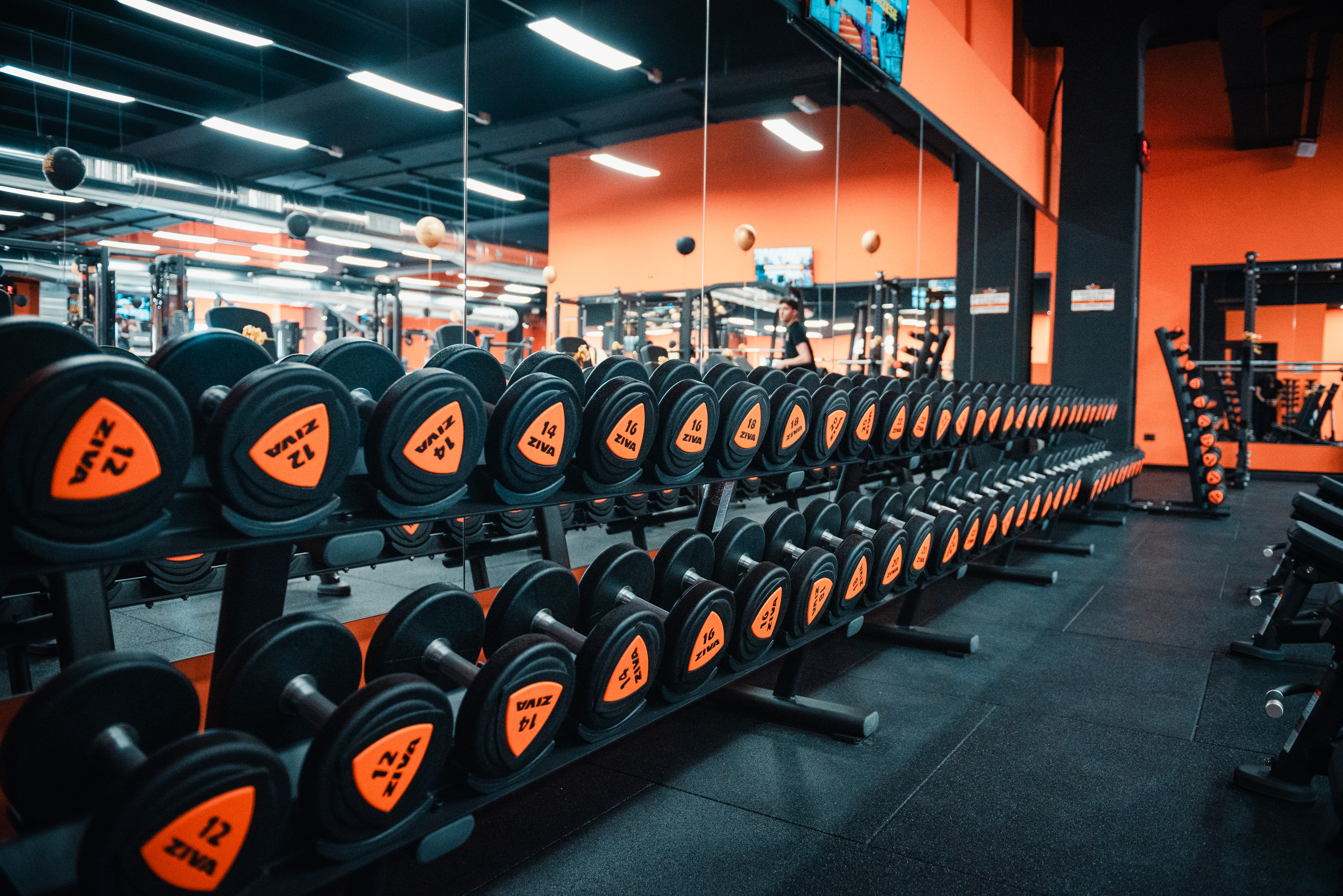FitActive Verdellino